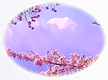 新倉山~桜(コンパクトデジカメ) 新倉山~桜(コンパクトデジカメ)