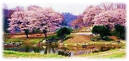 楽山園 楽山園